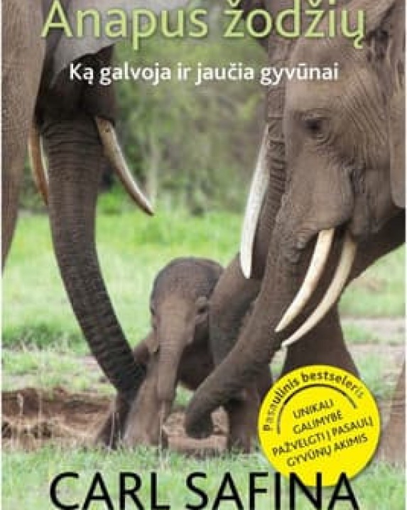 Anapus žodžių