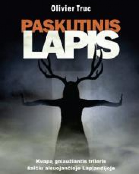 Paskutinis lapis
