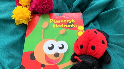 Bajka o biedronce