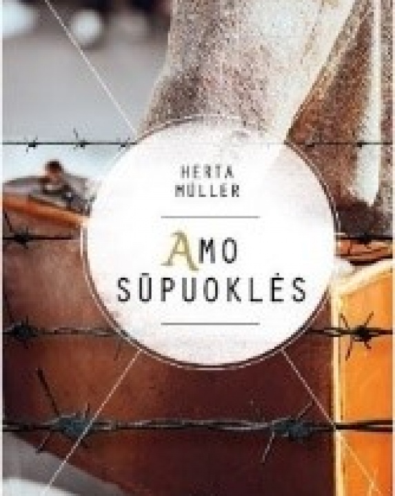 Amo sūpuoklės